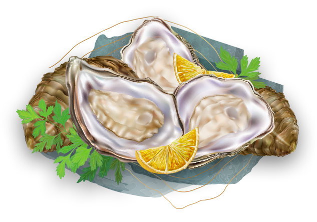 Restaurant fruits de mer Morbihan (56)